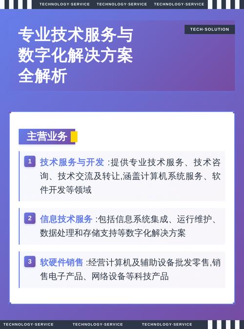 信息技术服务:提供信息系统集成,运维支持,数据处理与存储等数字