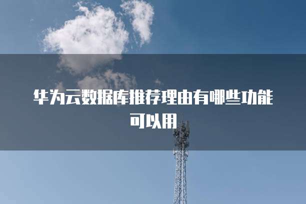 数据库有哪些功能可以用
